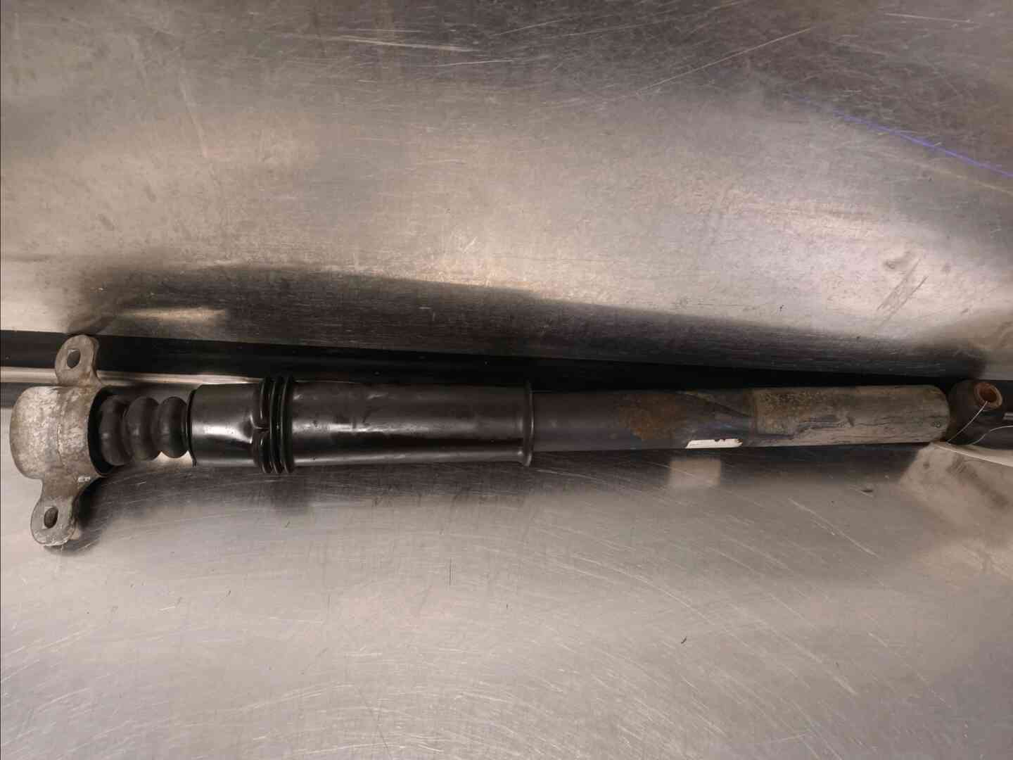 Image sélectionnée