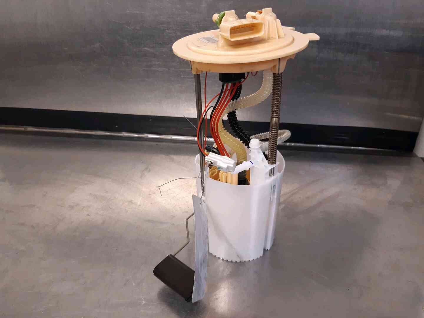 Image sélectionnée