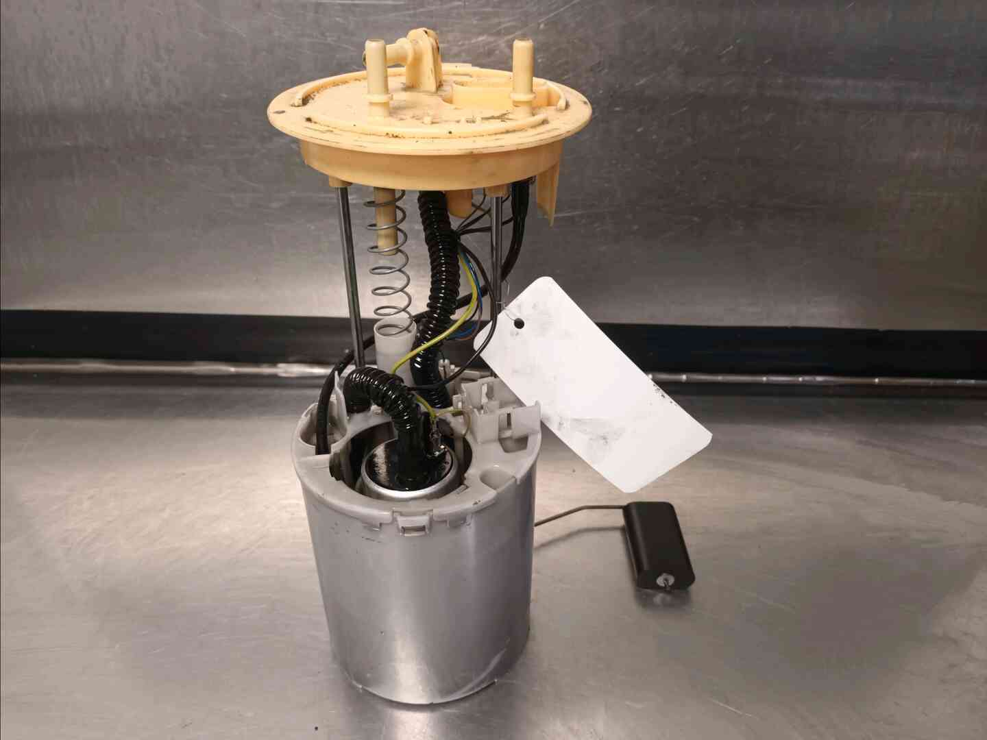 Image sélectionnée