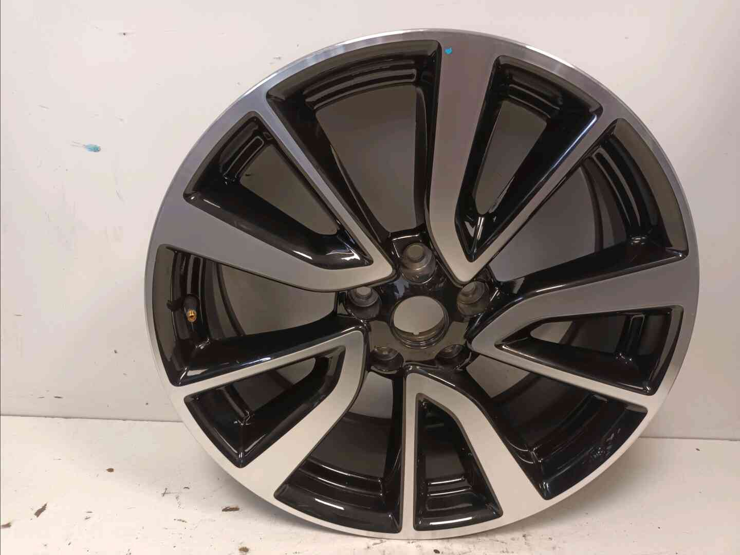 Image sélectionnée