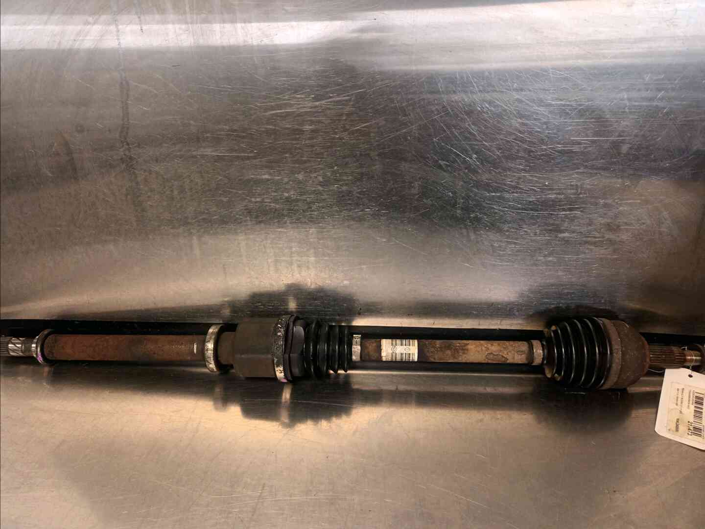 Image sélectionnée