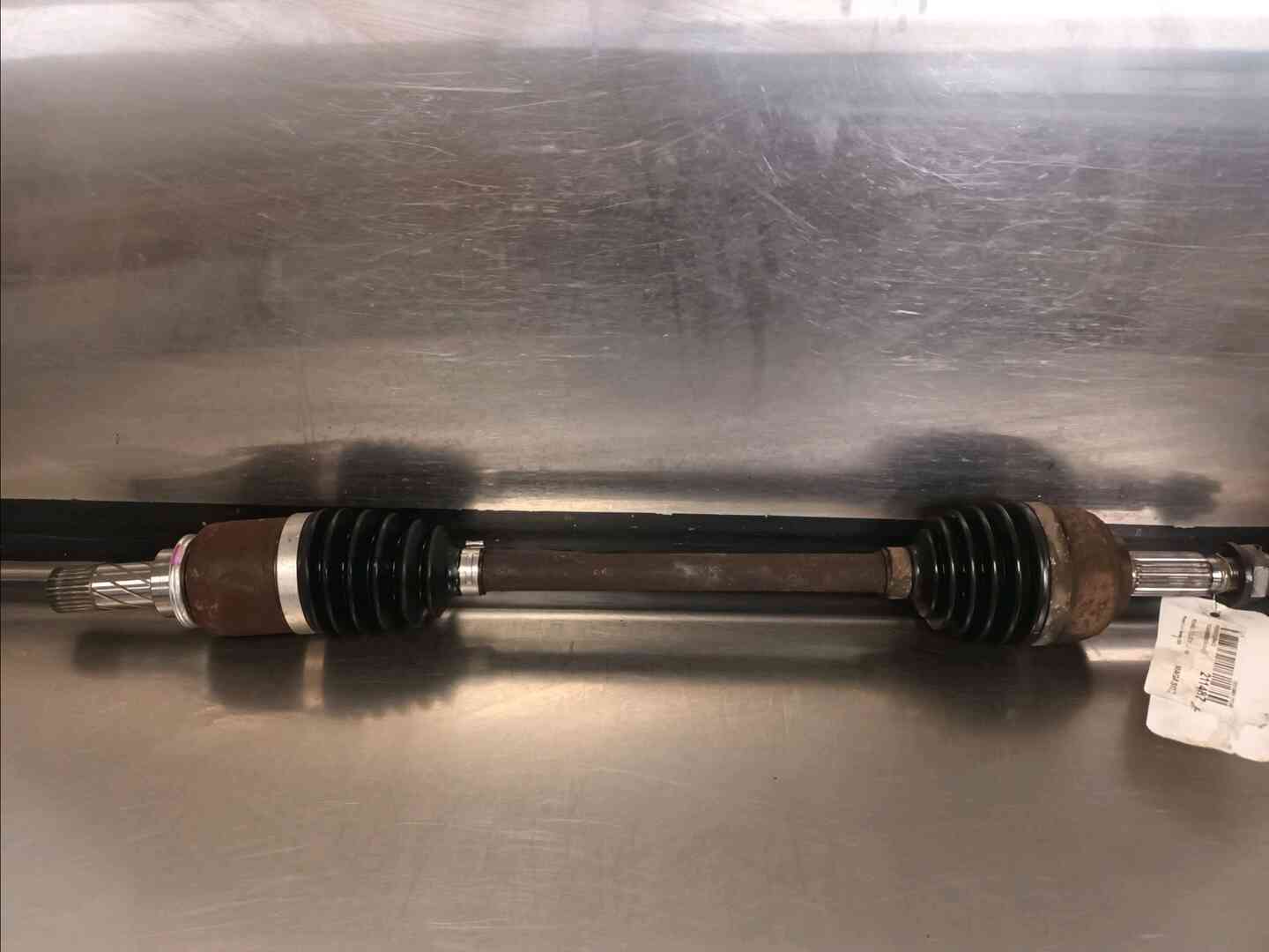 Image sélectionnée