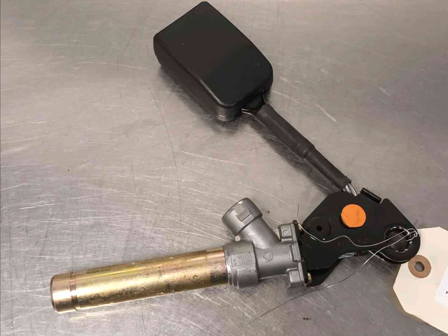 Image sélectionnée