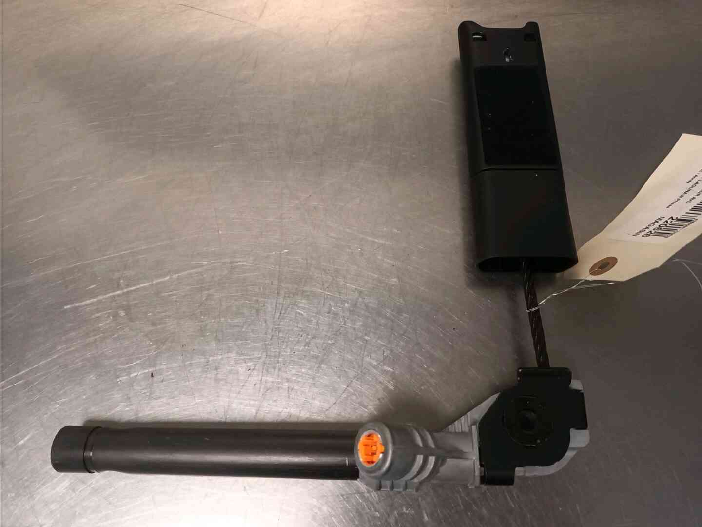 Image sélectionnée