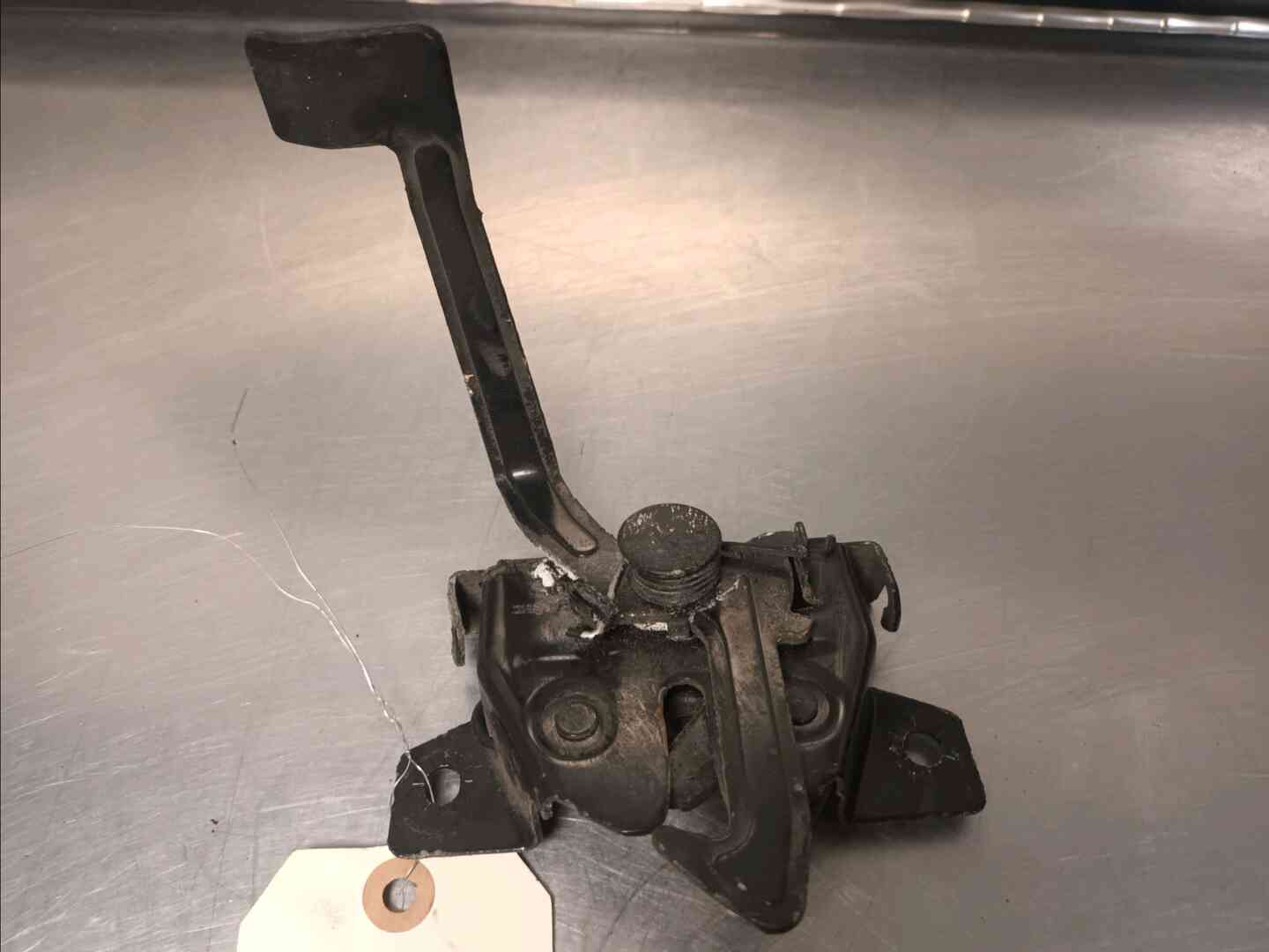 Image sélectionnée