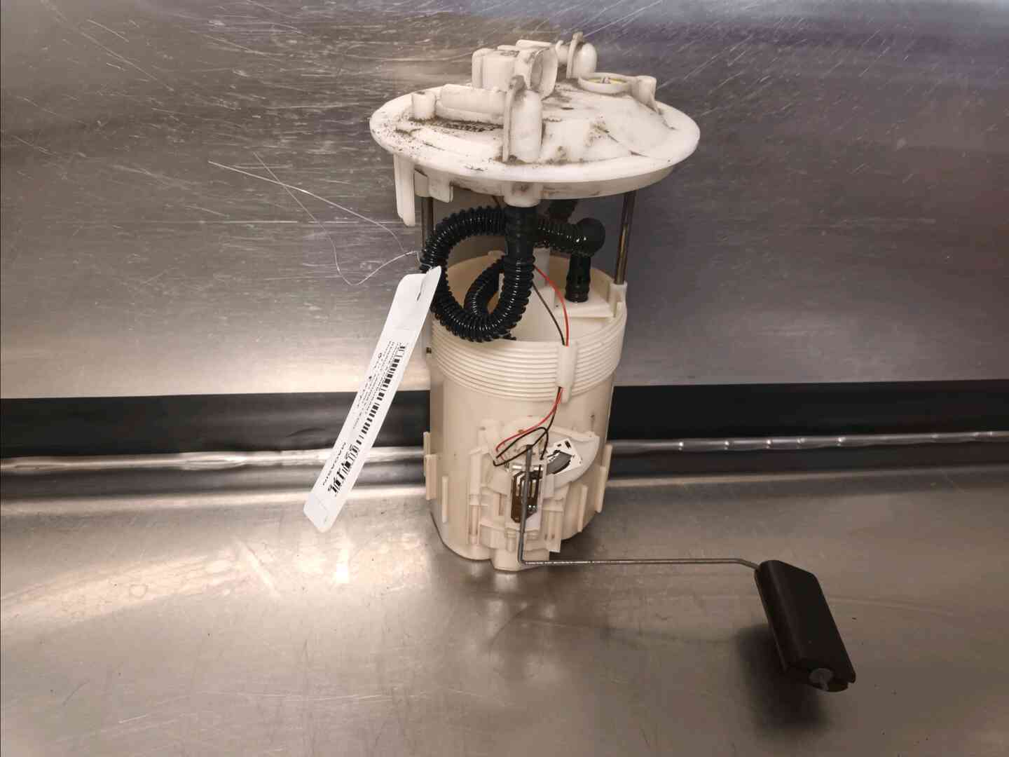 Image sélectionnée