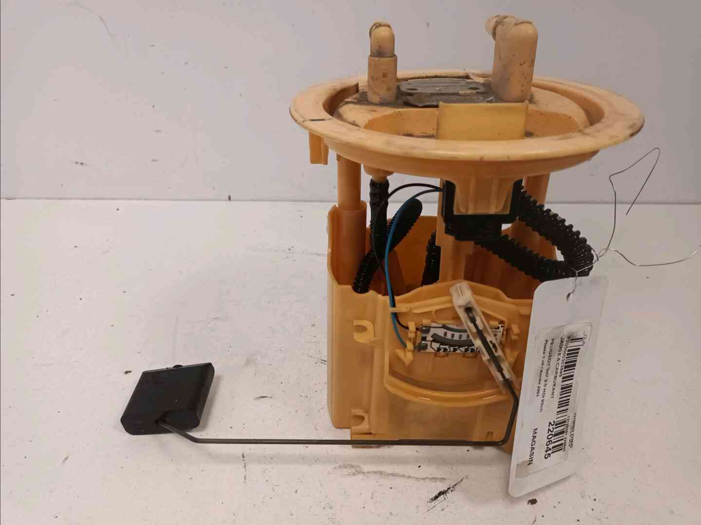 Image sélectionnée