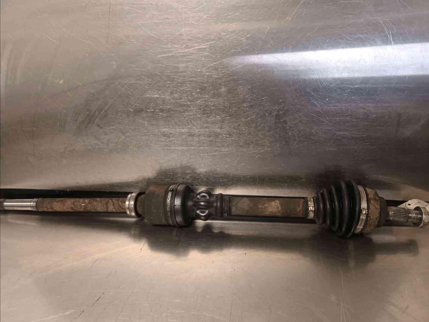 Image sélectionnée