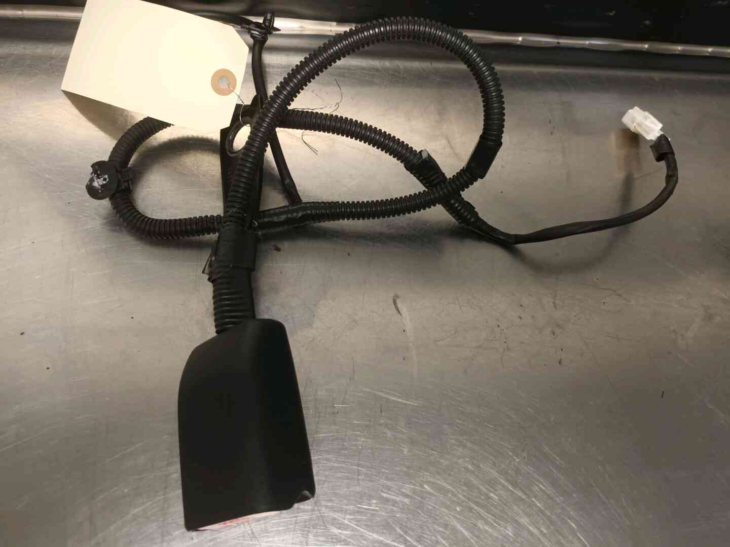 Image sélectionnée