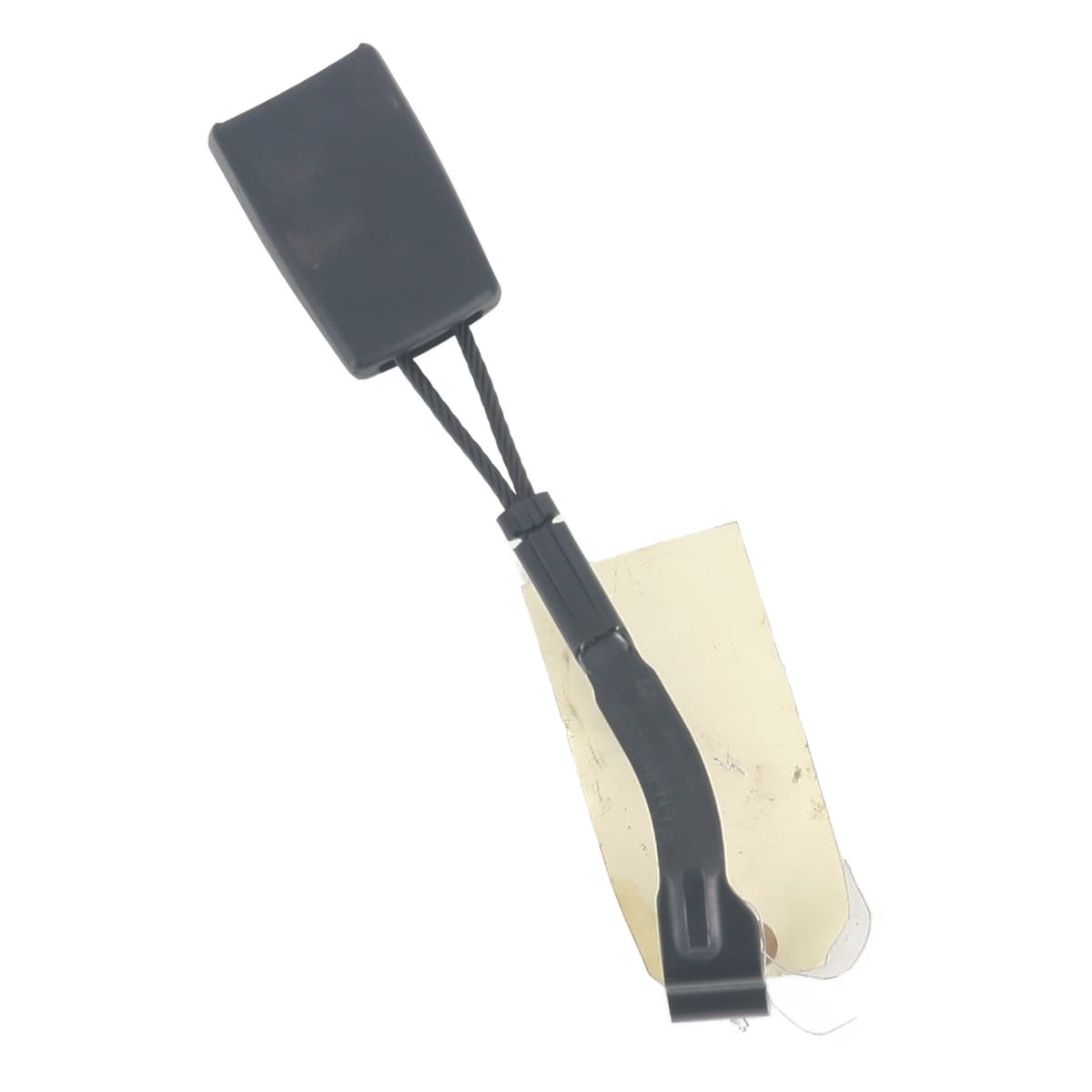 Image sélectionnée