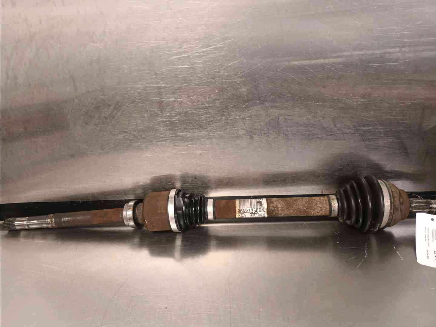 Image sélectionnée
