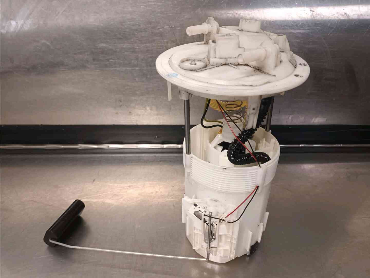 Image sélectionnée