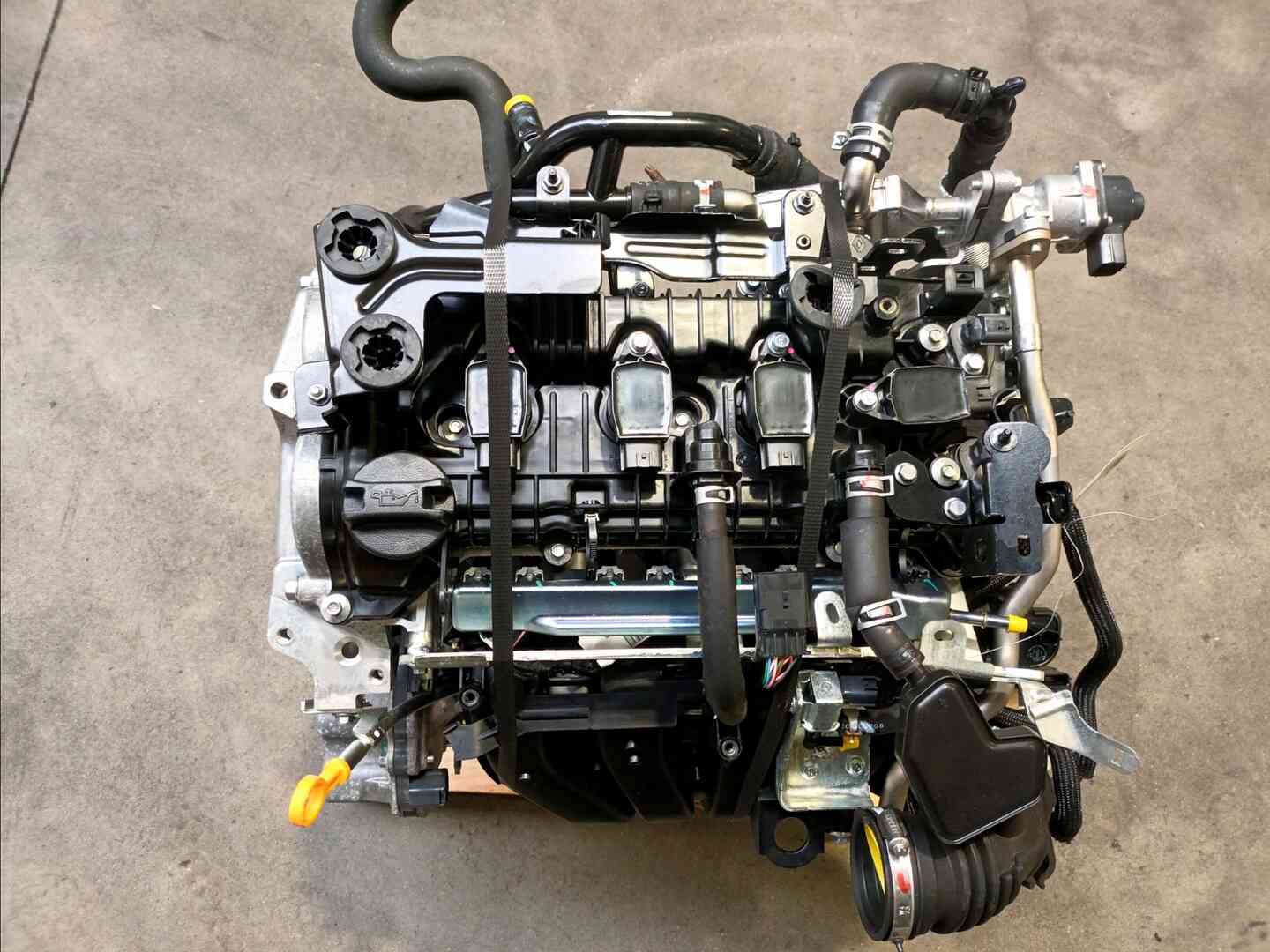 Image sélectionnée