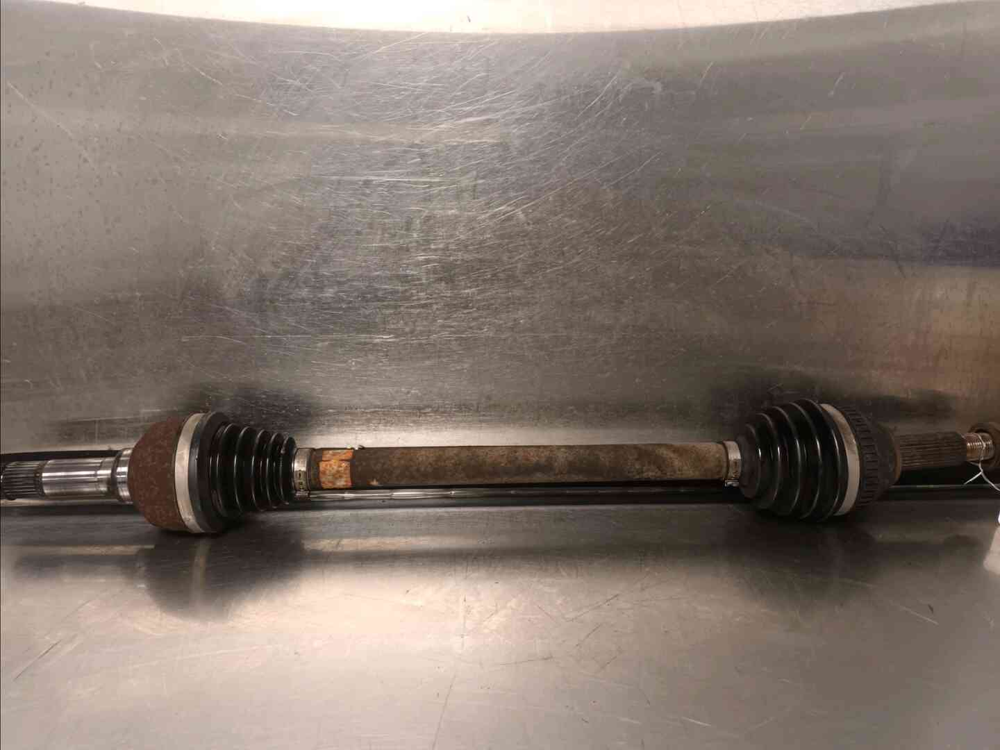 Image sélectionnée