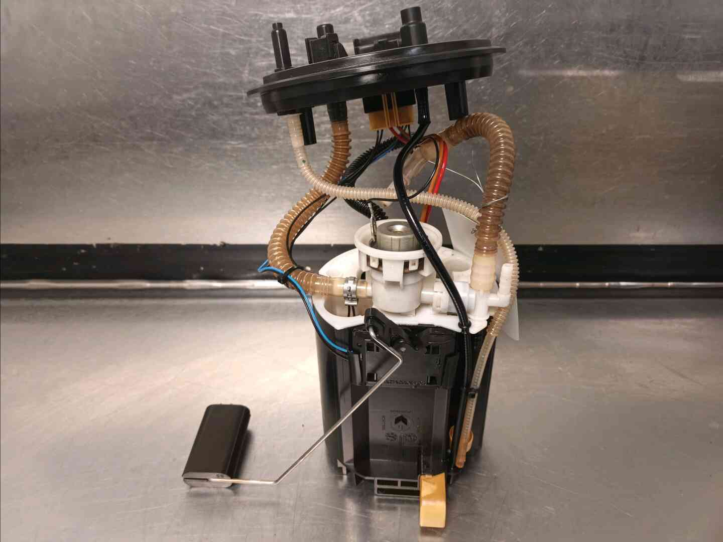 Image sélectionnée