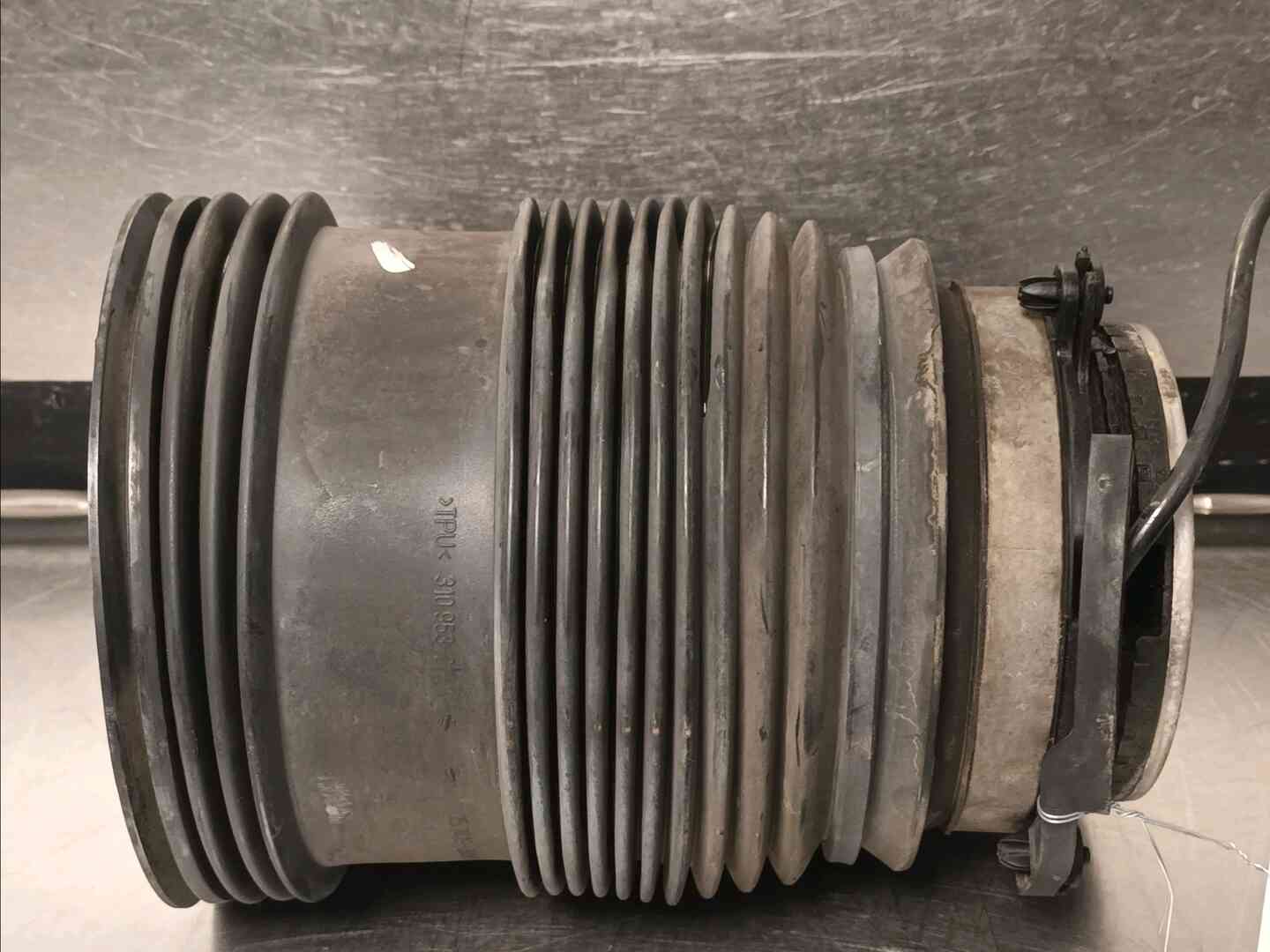 Image sélectionnée