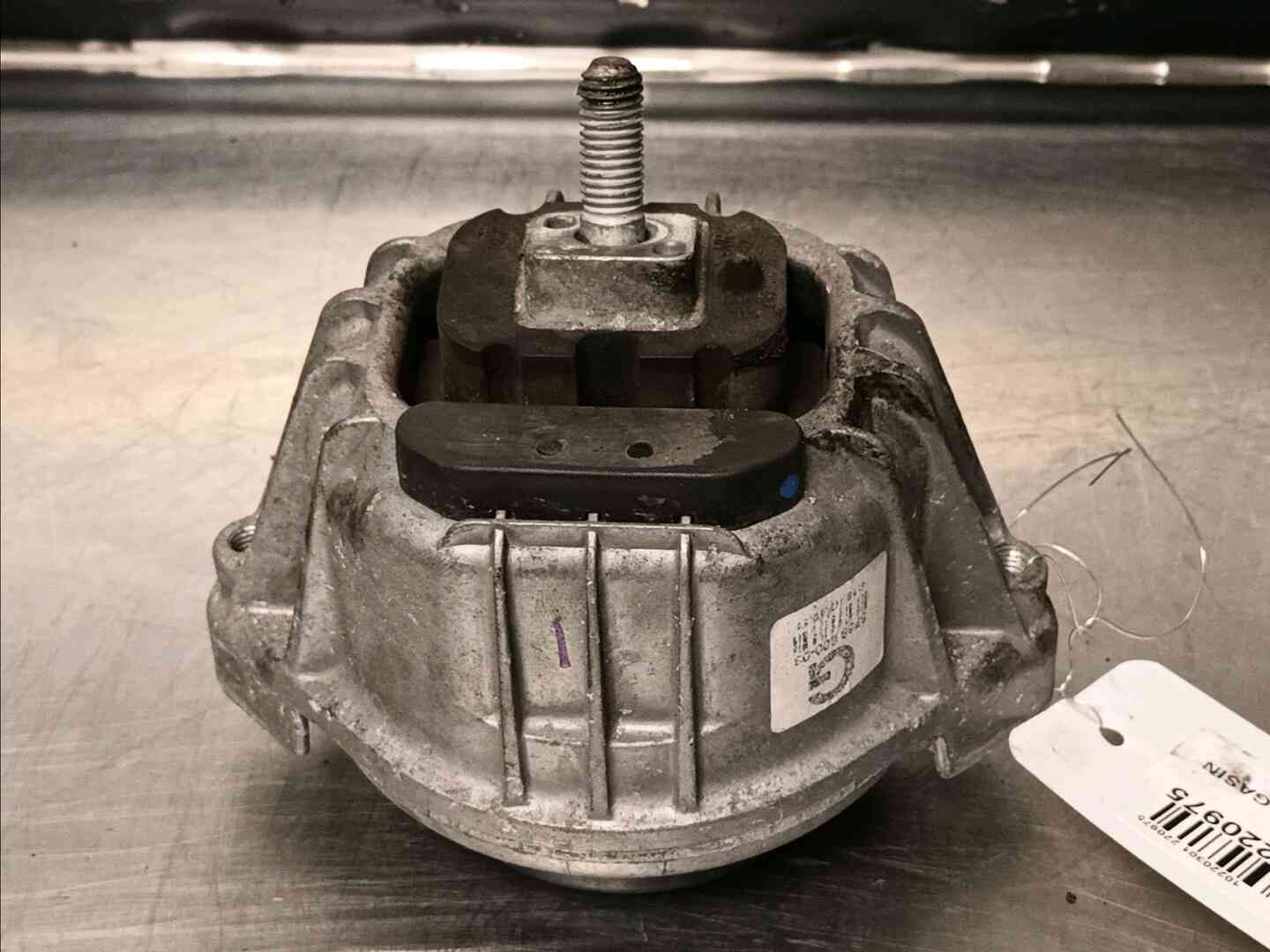 Image sélectionnée