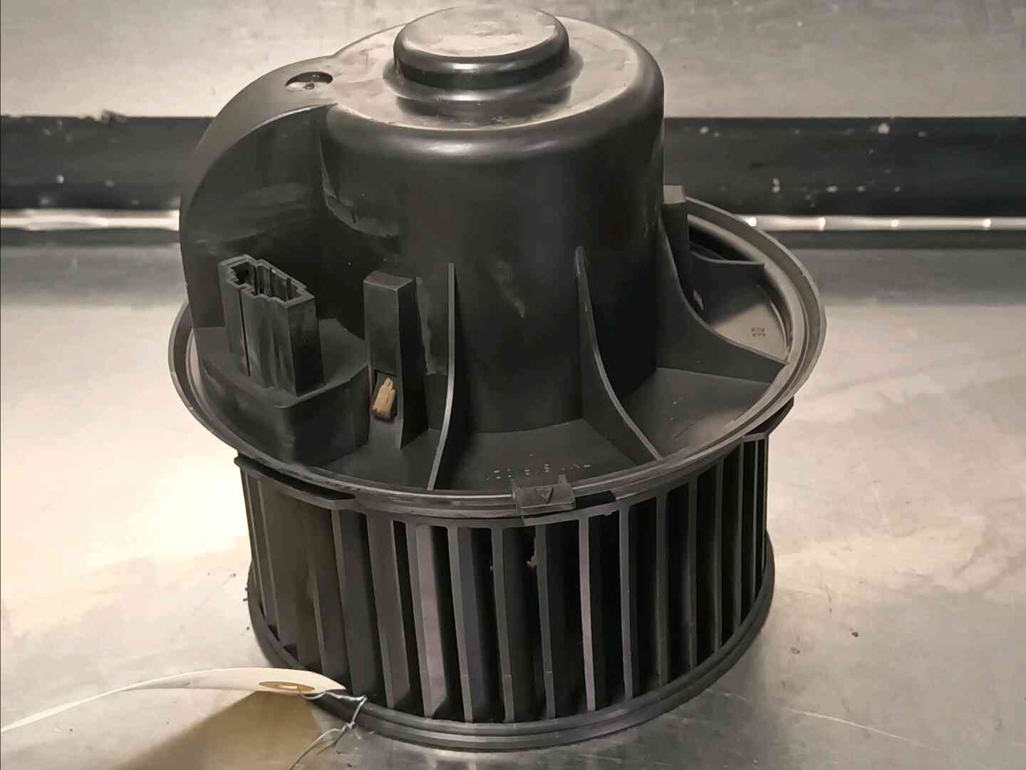Image sélectionnée