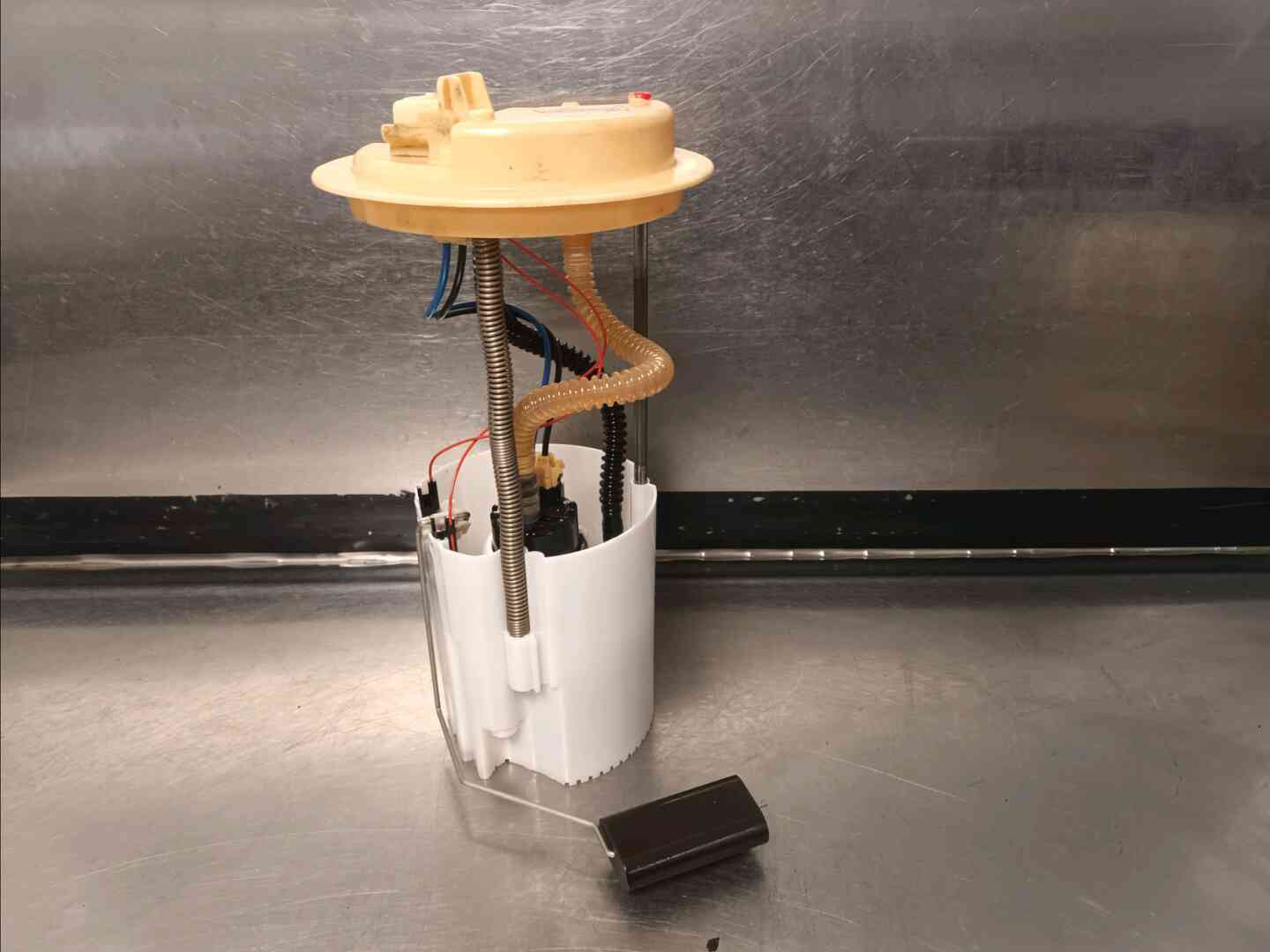 Image sélectionnée