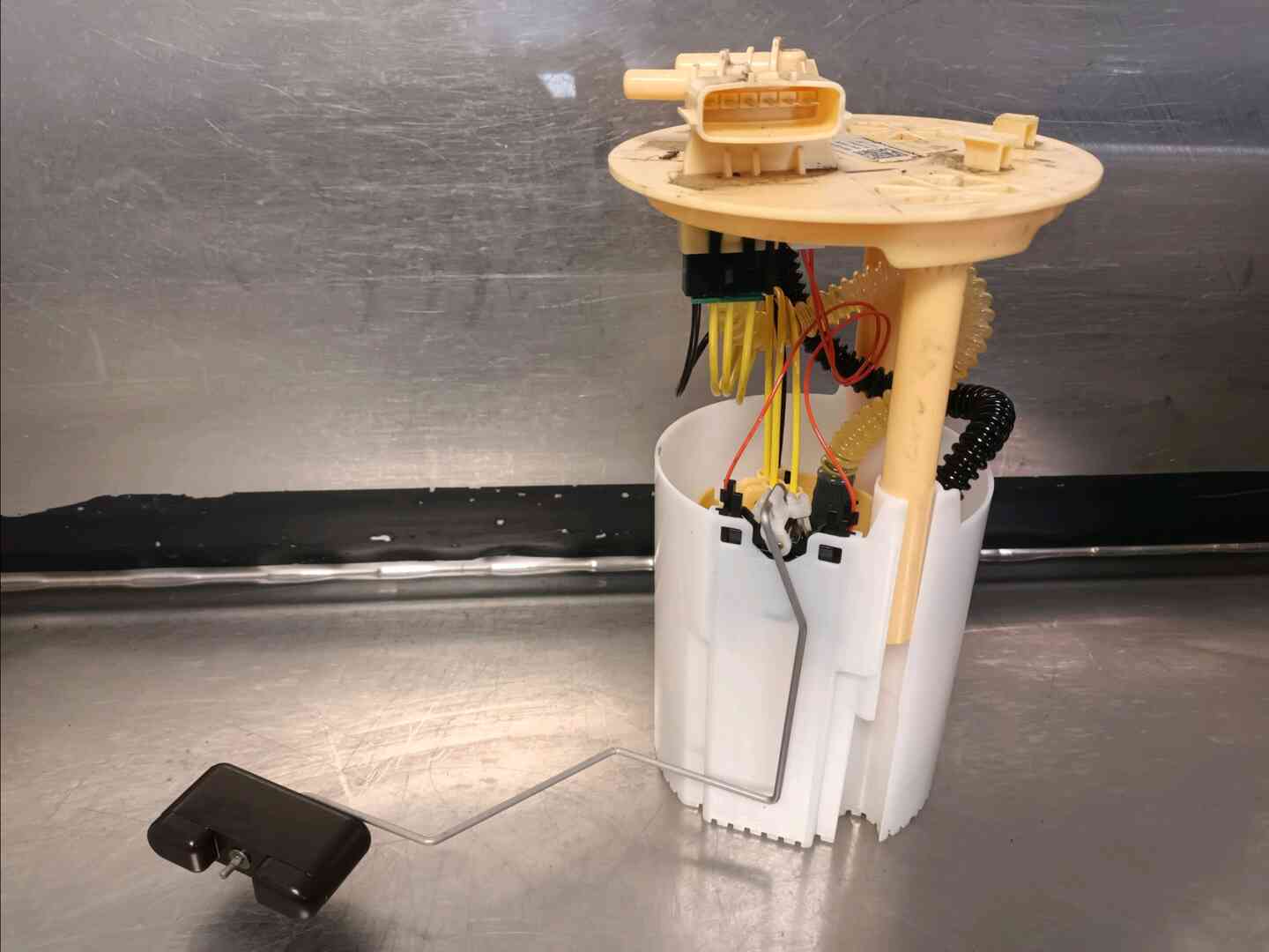Image sélectionnée