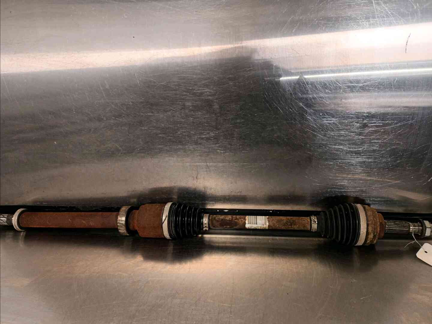 Image sélectionnée