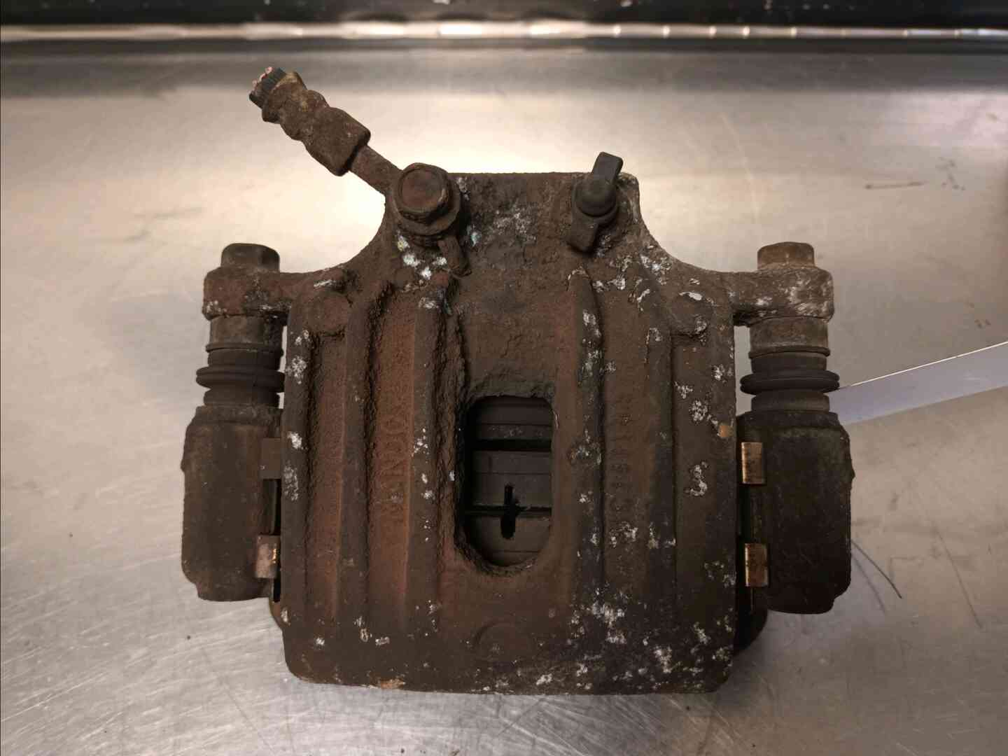 Image sélectionnée