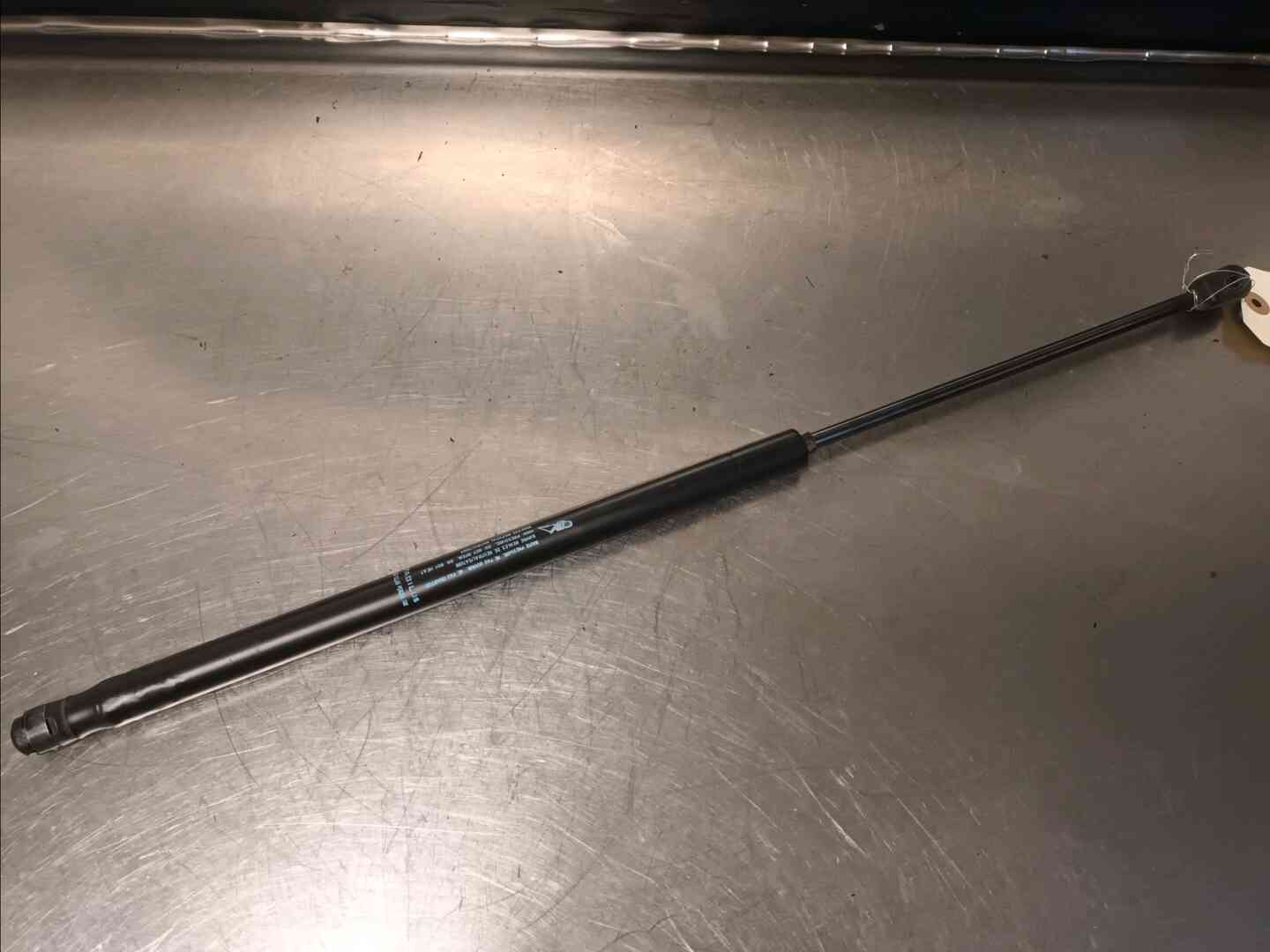 Image sélectionnée