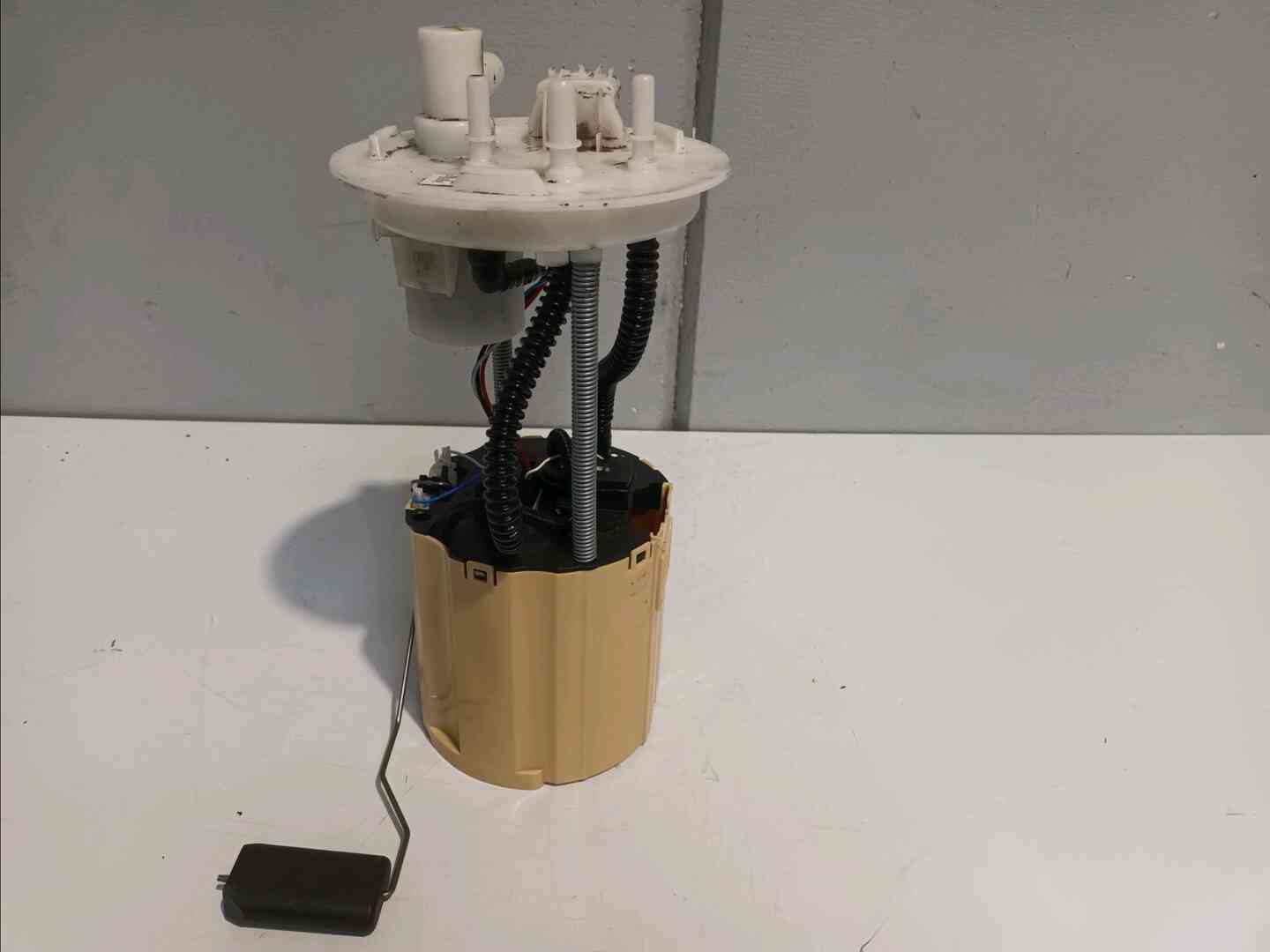 Image sélectionnée