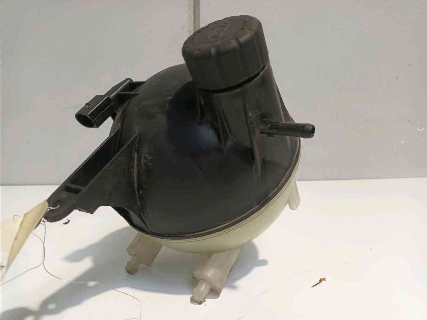 Image sélectionnée