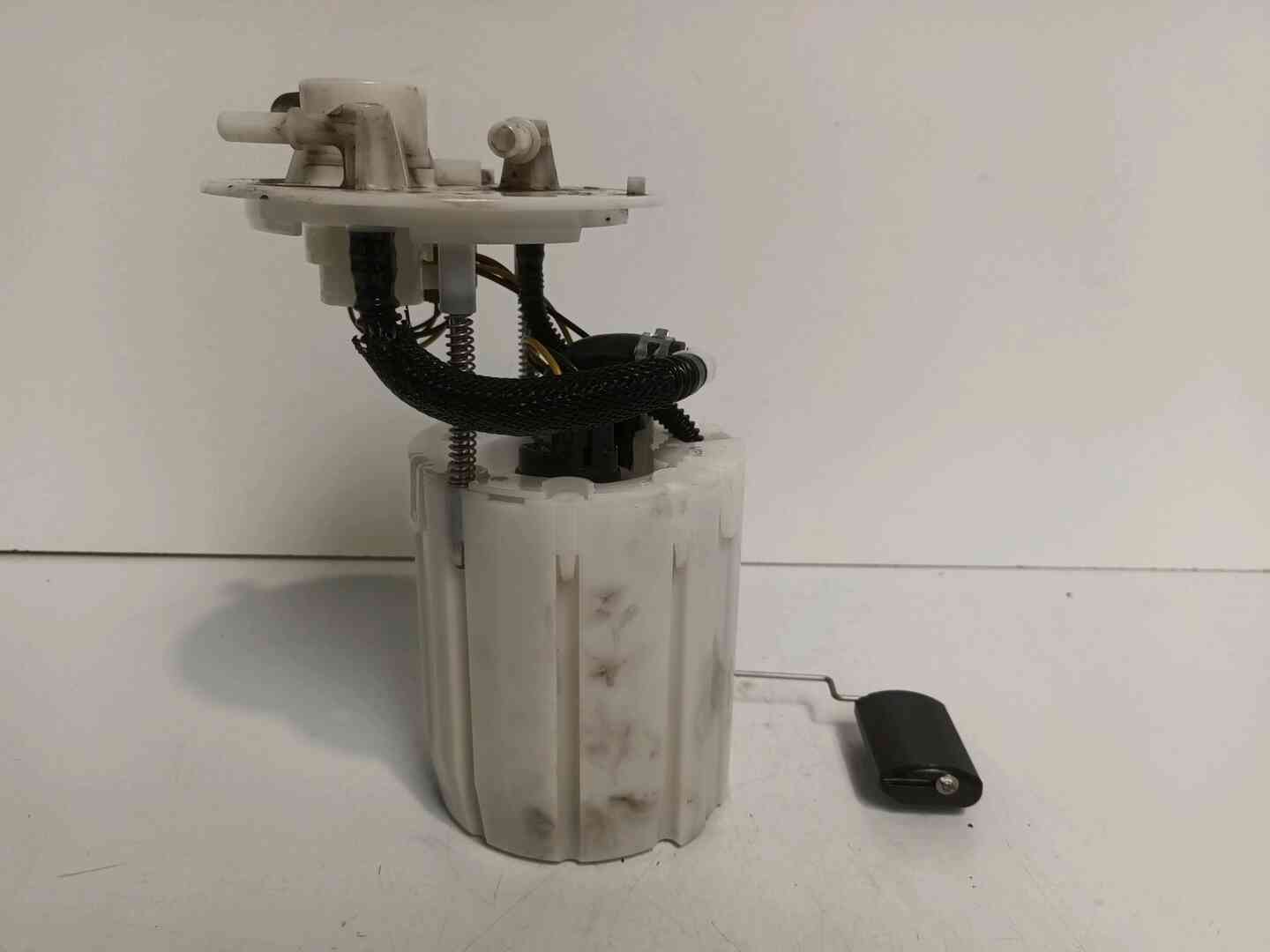 Image sélectionnée