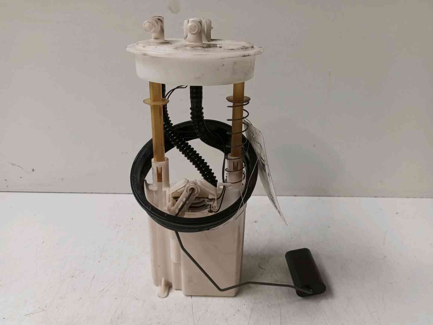 Image sélectionnée
