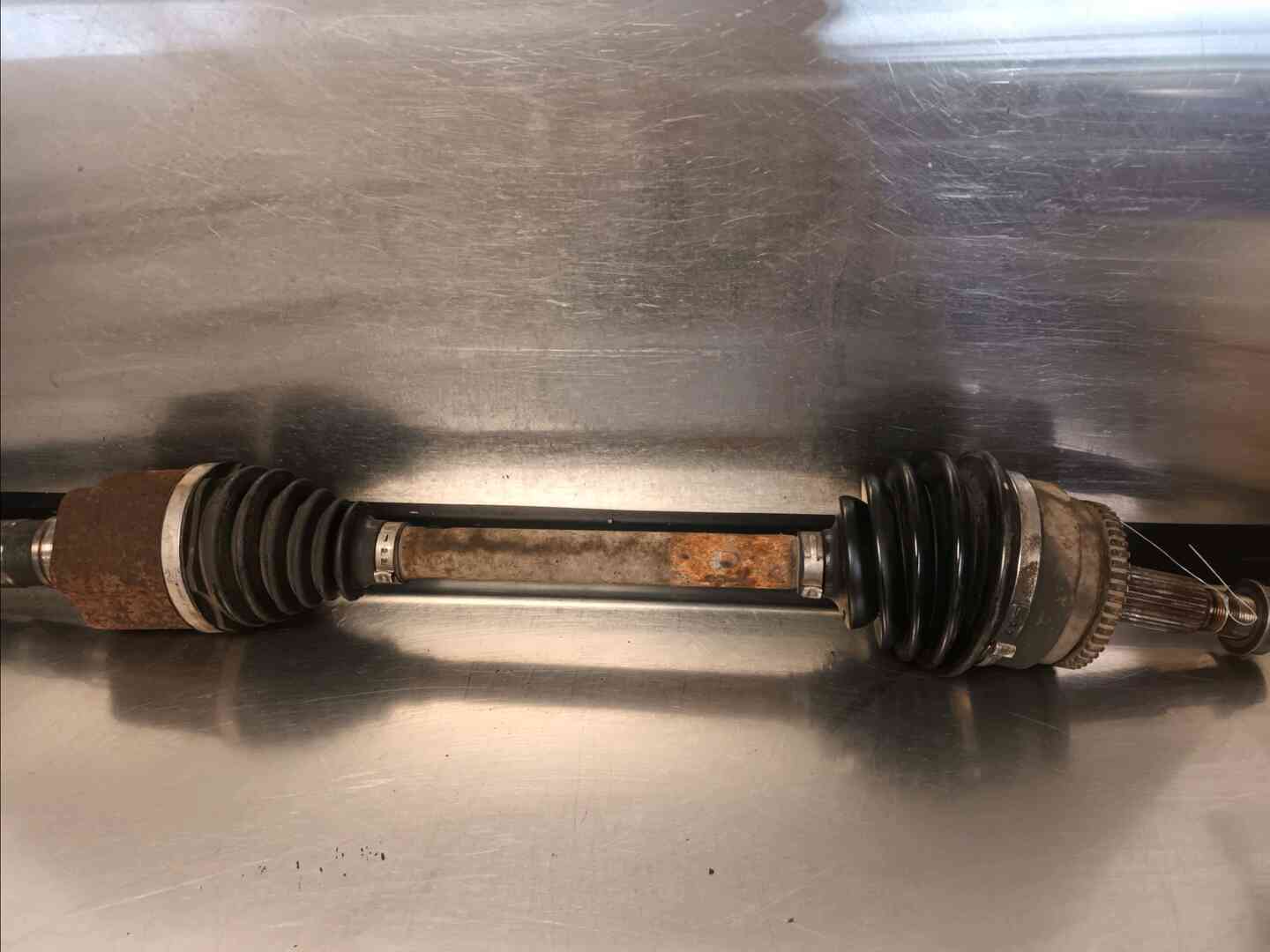 Image sélectionnée