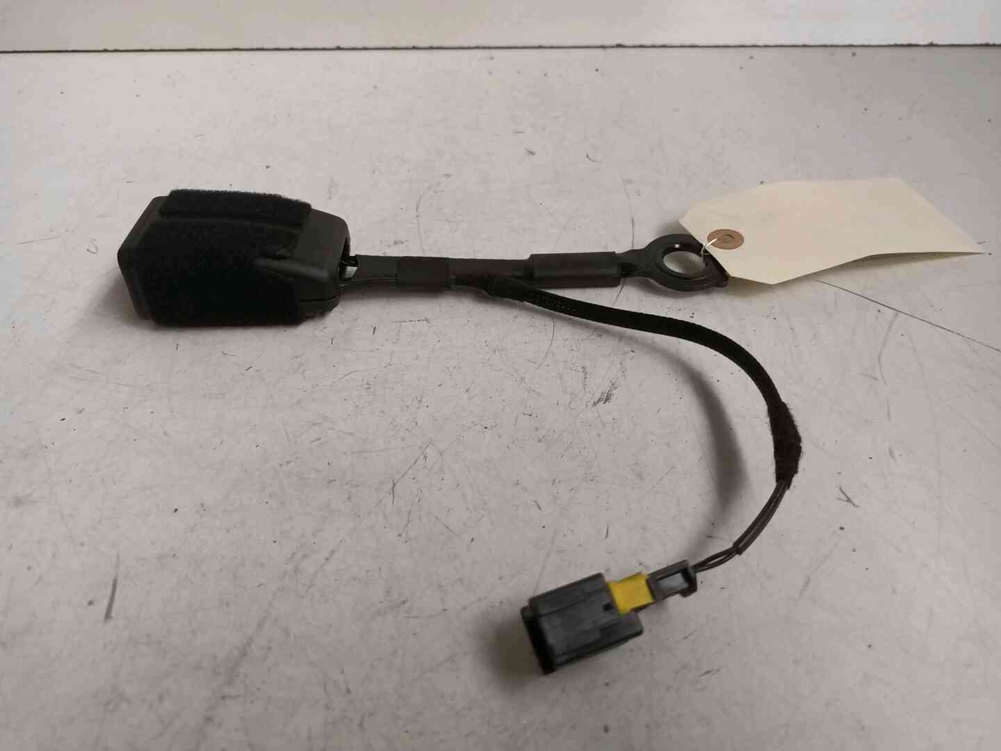 Image sélectionnée