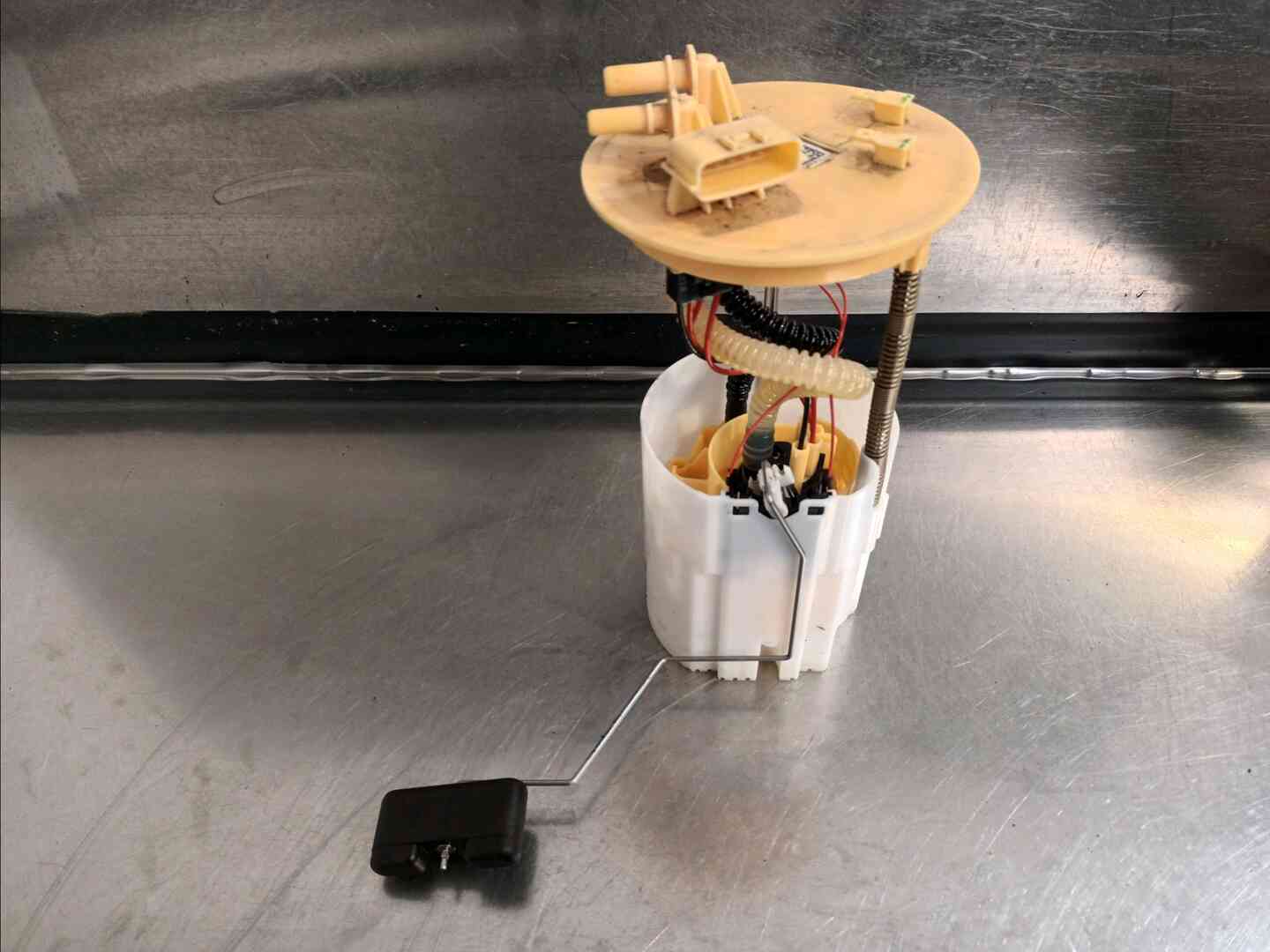 Image sélectionnée