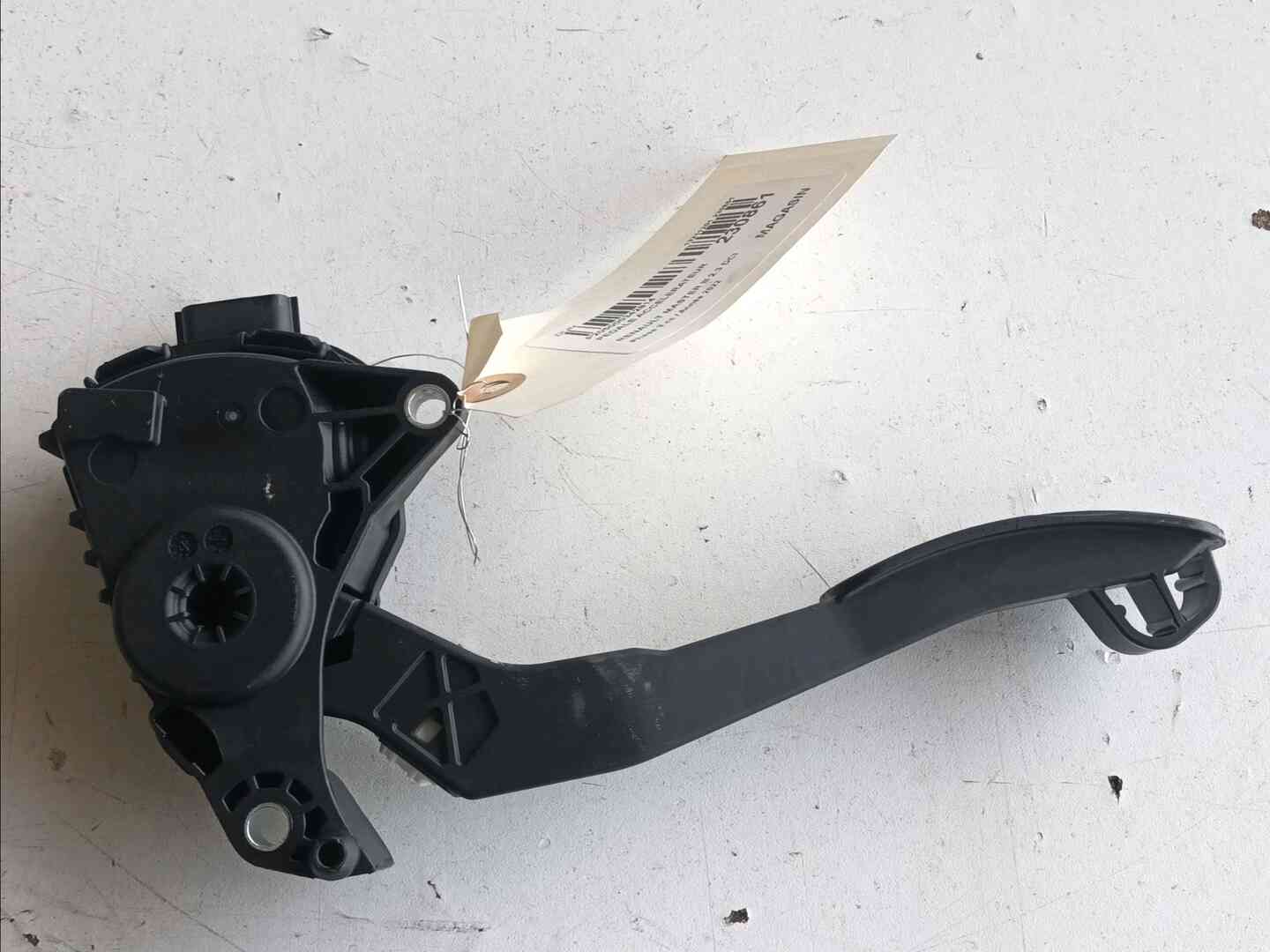 Image sélectionnée