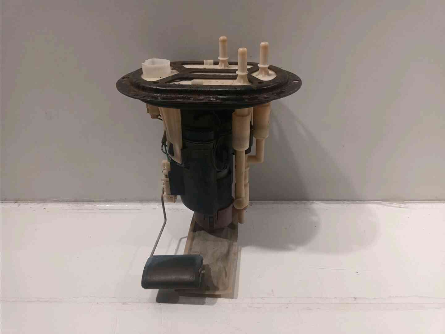 Image sélectionnée