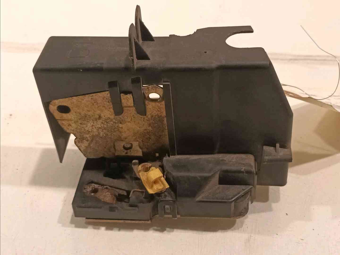 Image sélectionnée
