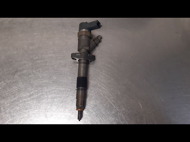 Image sélectionnée