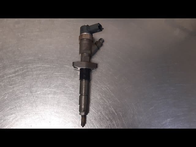 Image sélectionnée