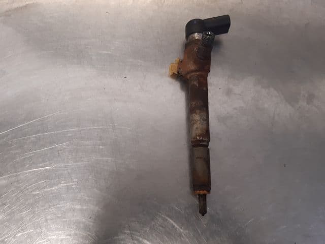 Image sélectionnée