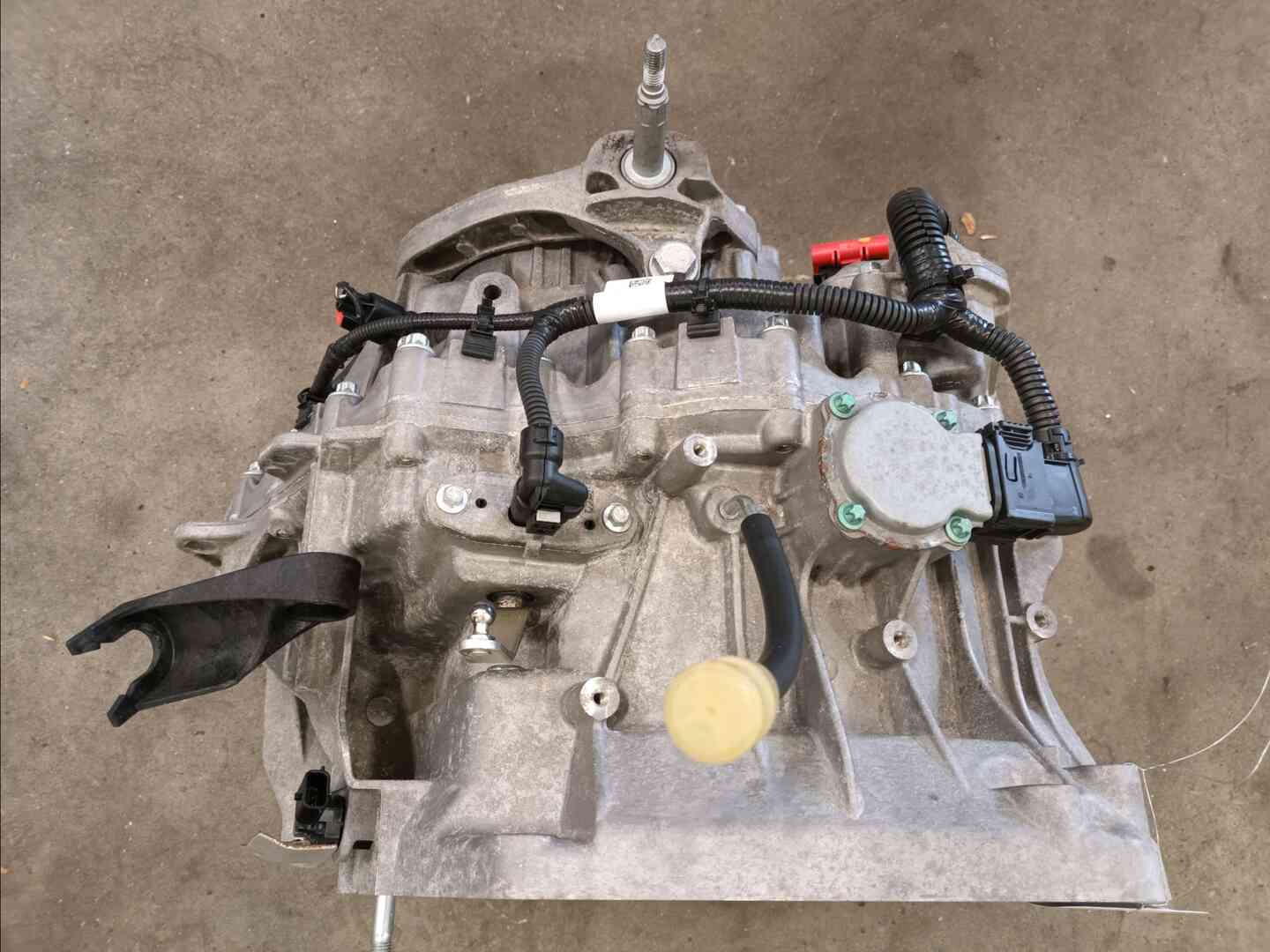 Image sélectionnée