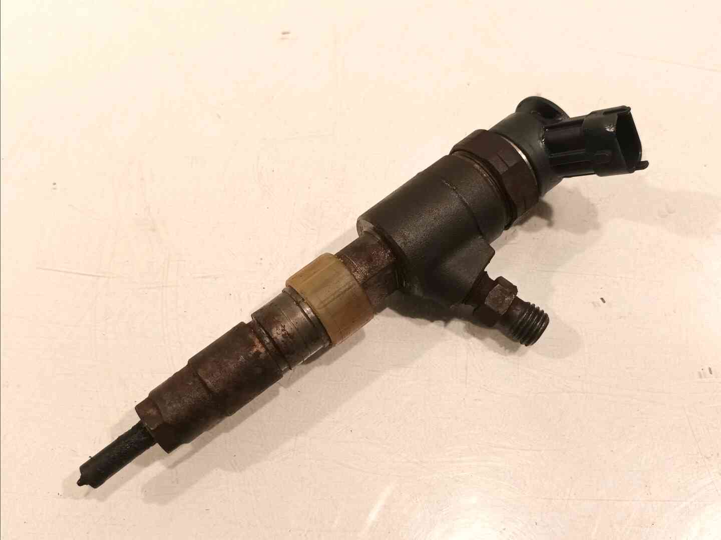 Image sélectionnée