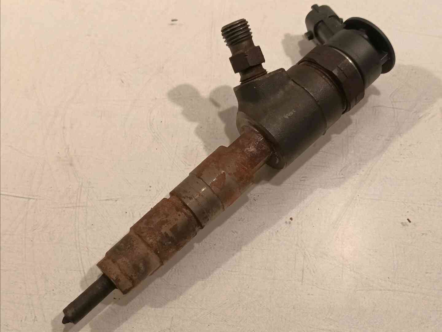 Image sélectionnée