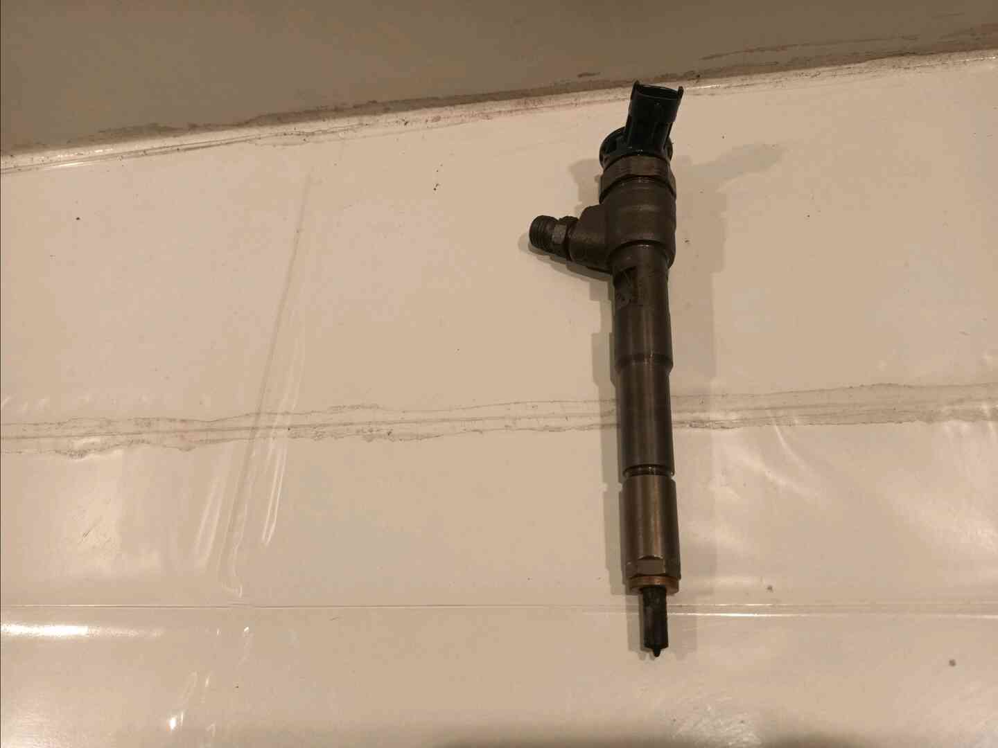 Image sélectionnée