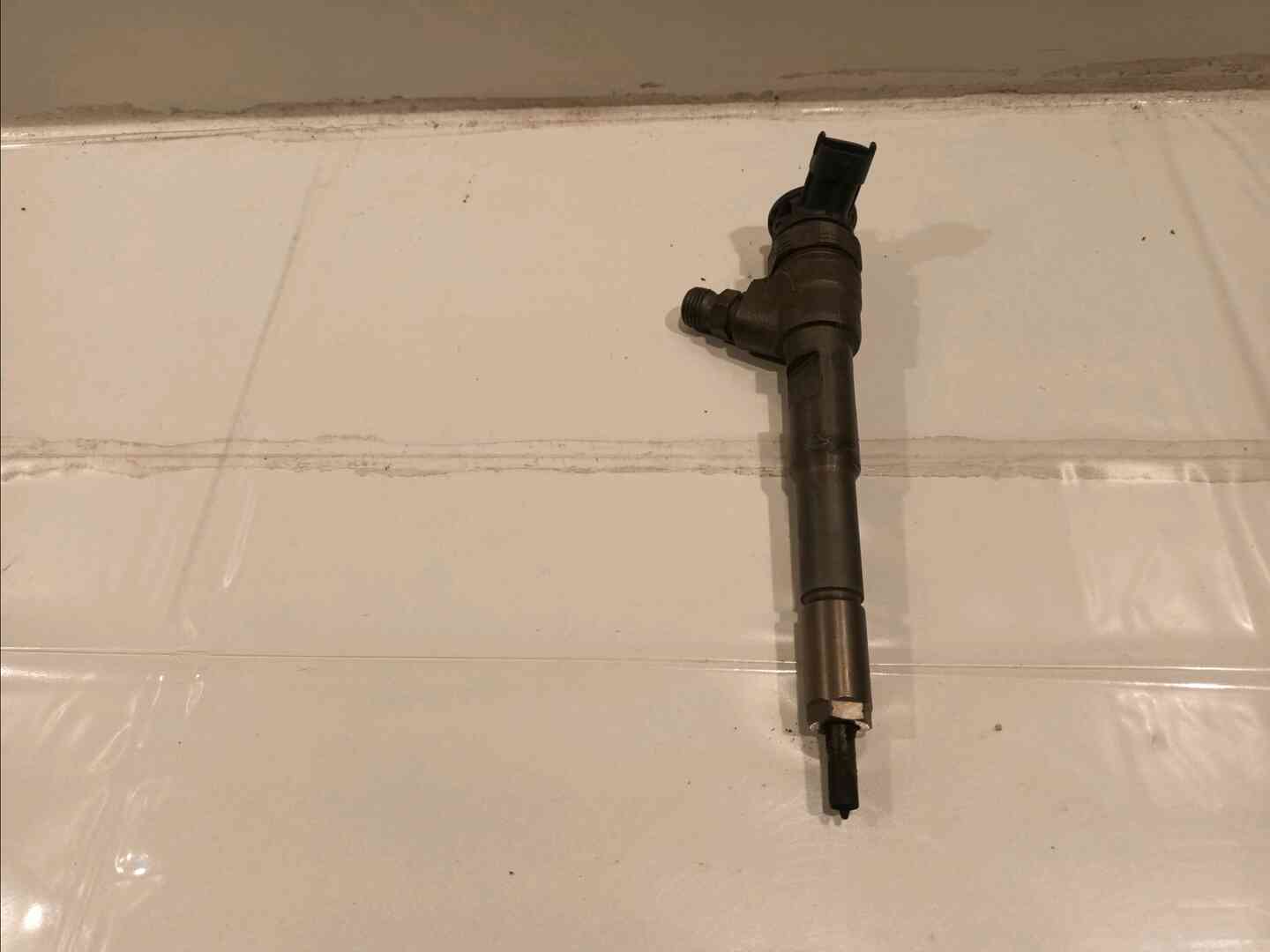 Image sélectionnée