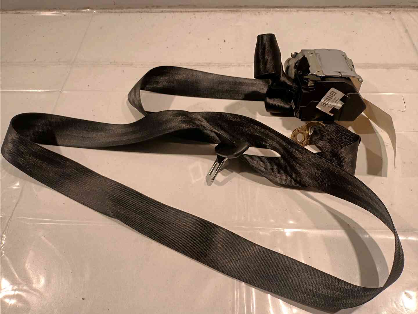 Image sélectionnée