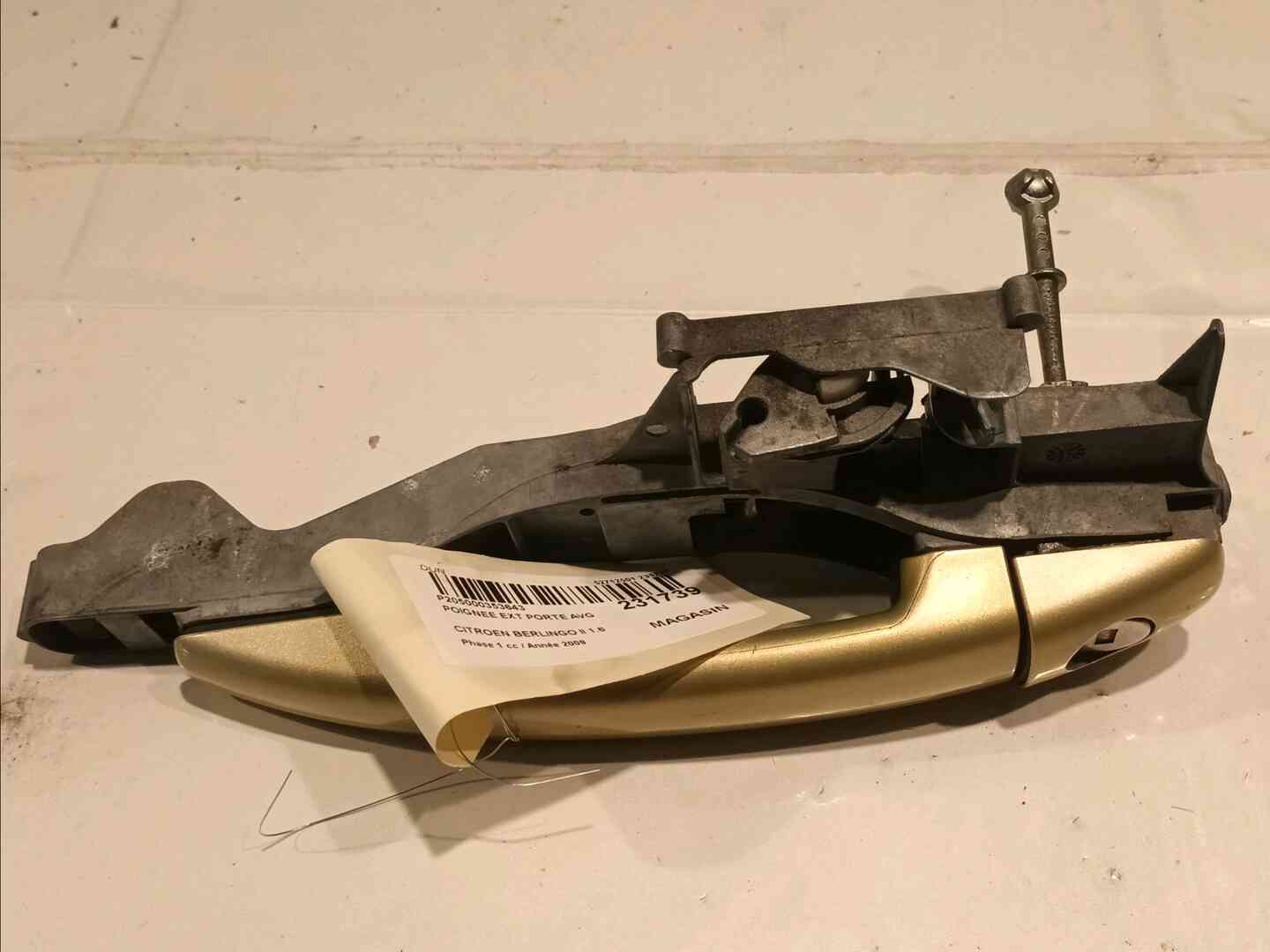 Image sélectionnée