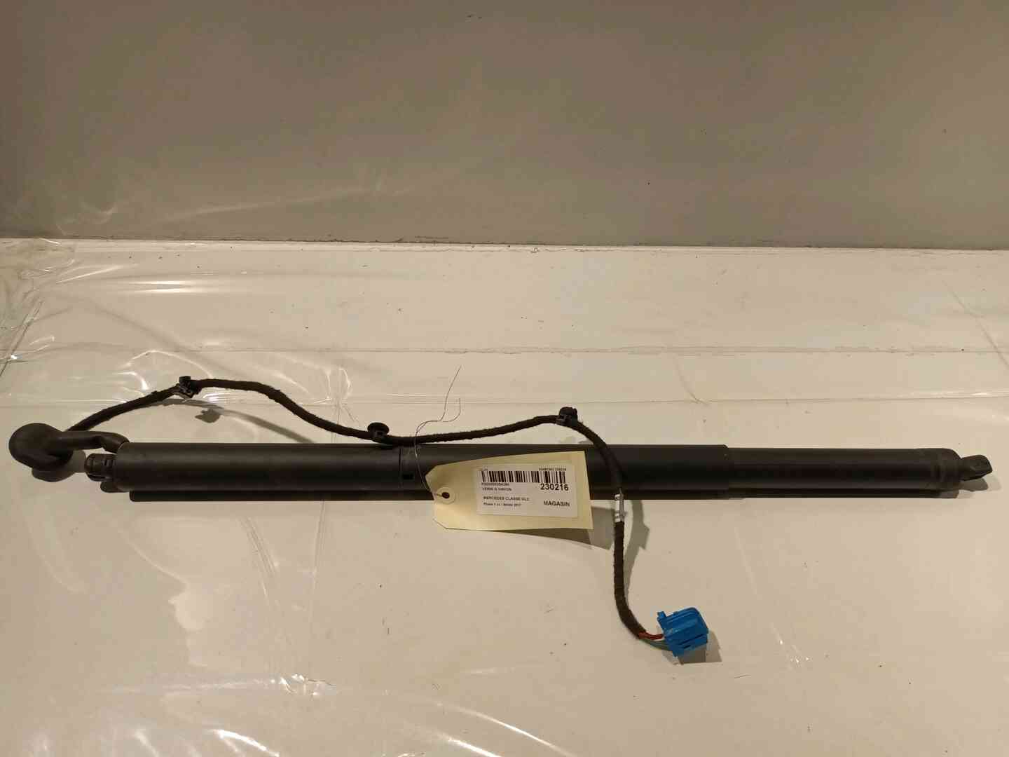 Image sélectionnée