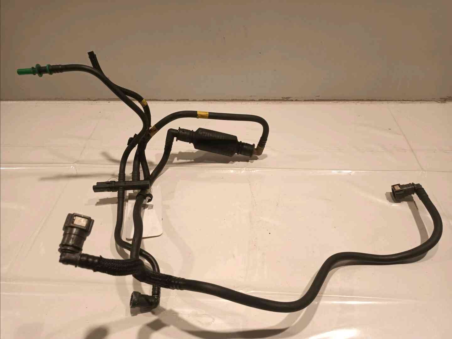 Image sélectionnée