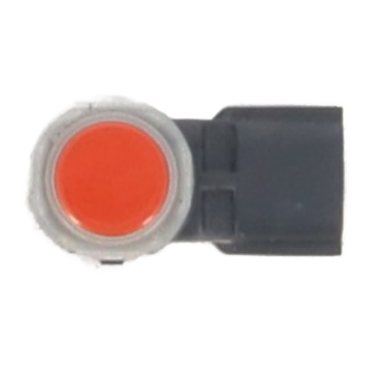 Image sélectionnée